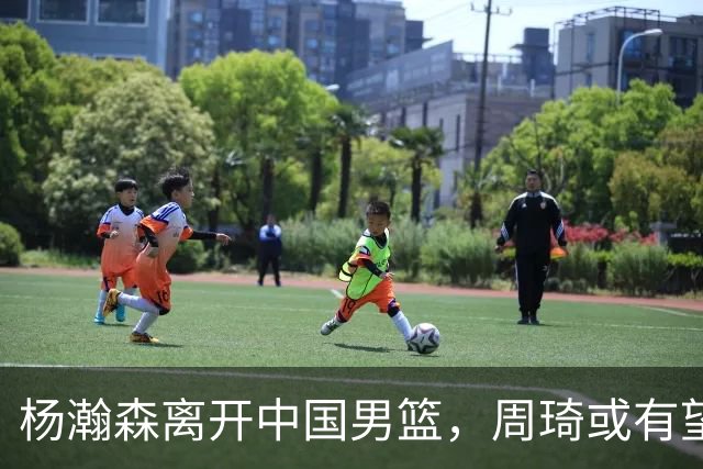 杨瀚森离开中国男篮，周琦或有望重返国家队